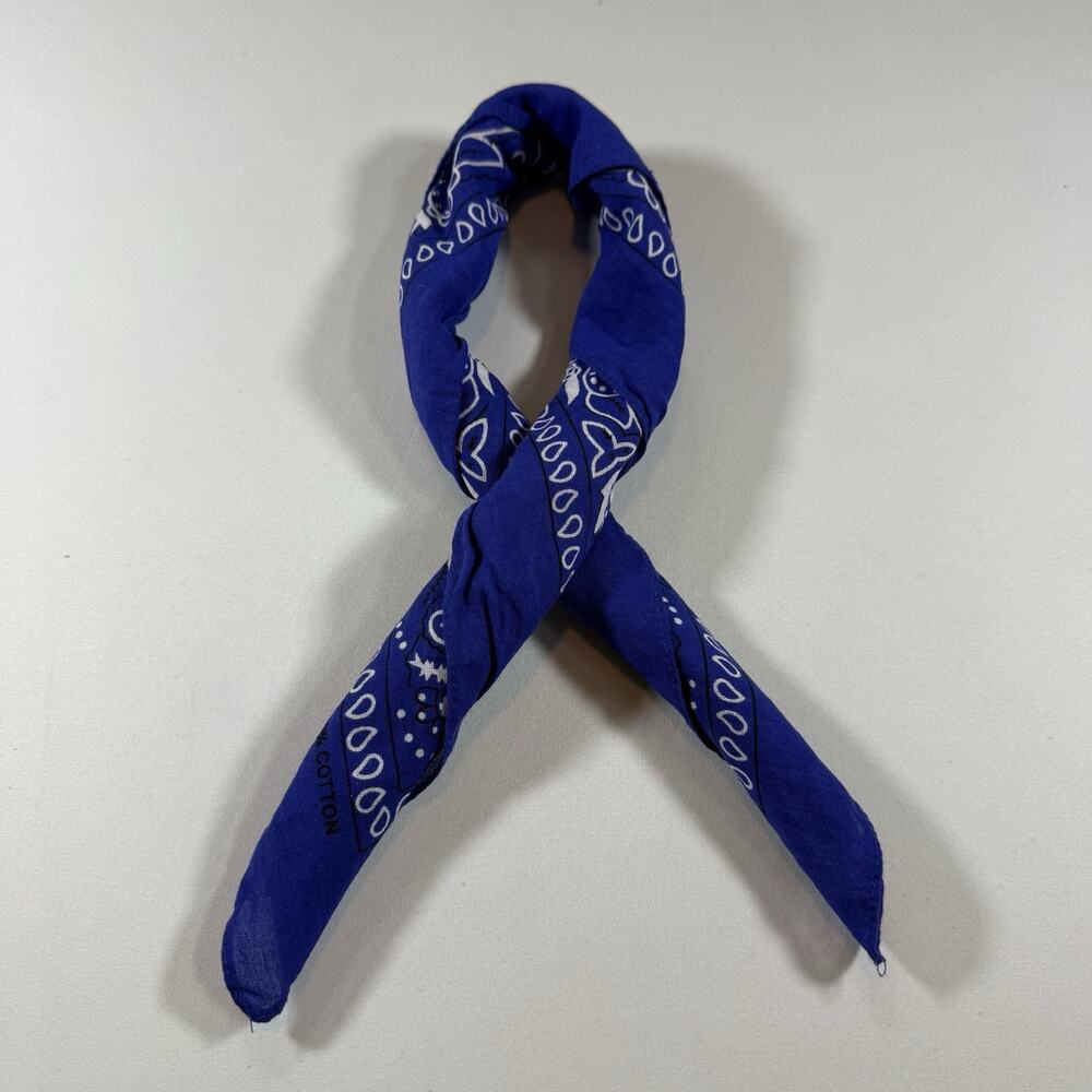Vintage 90s Blue Paisley Lightweight Bandanna Neck Scarf - OS